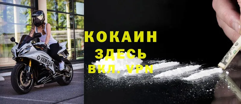 Cocaine Эквадор  Кемь 